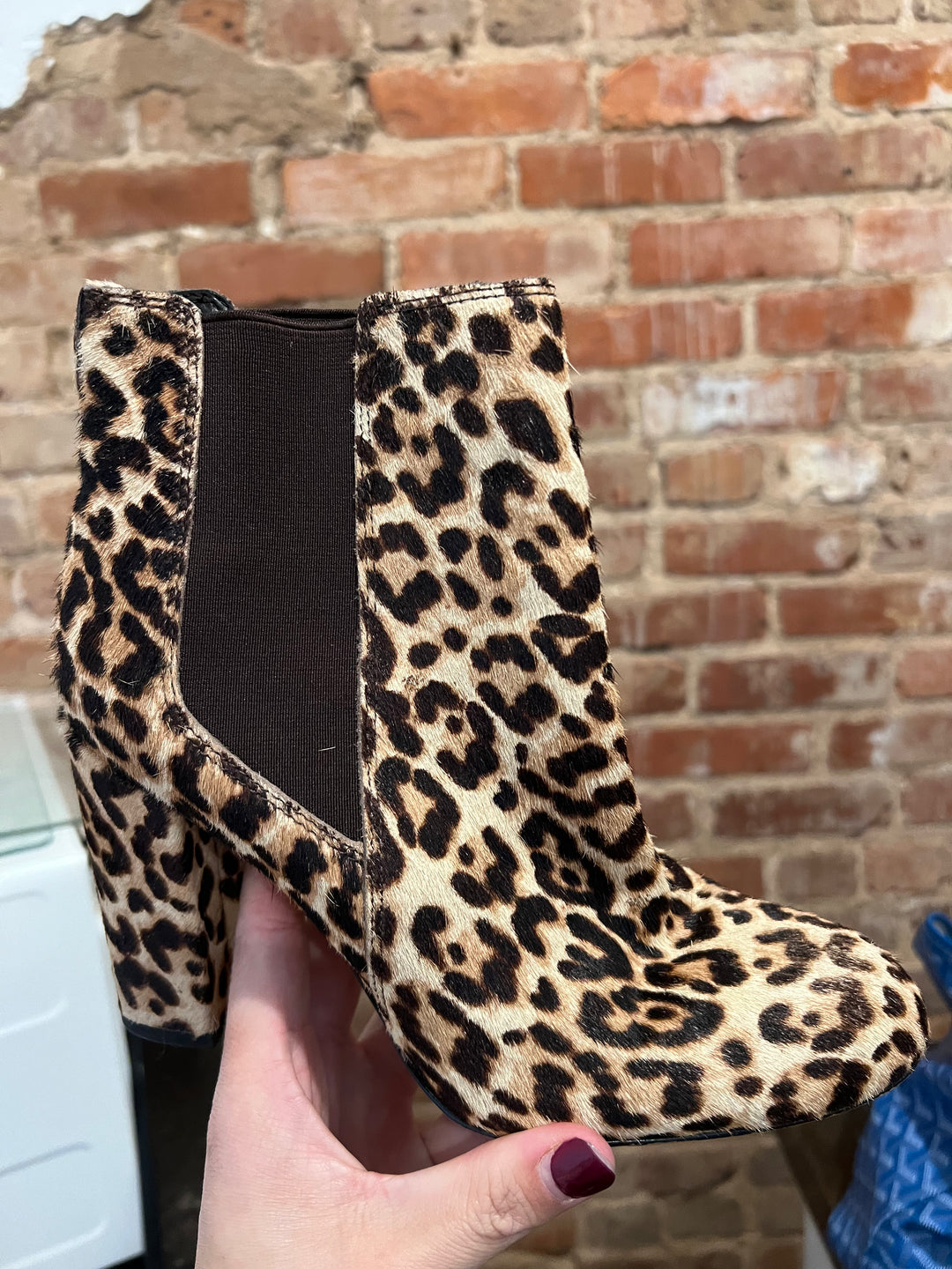 Cheetah Booties (Sam Edelman)