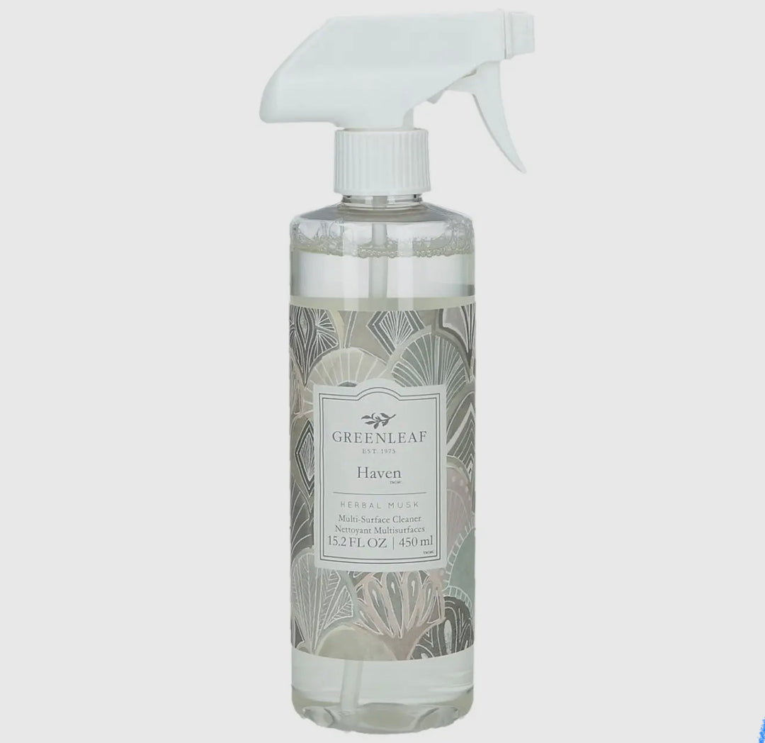 Multi-Surface Cleaner